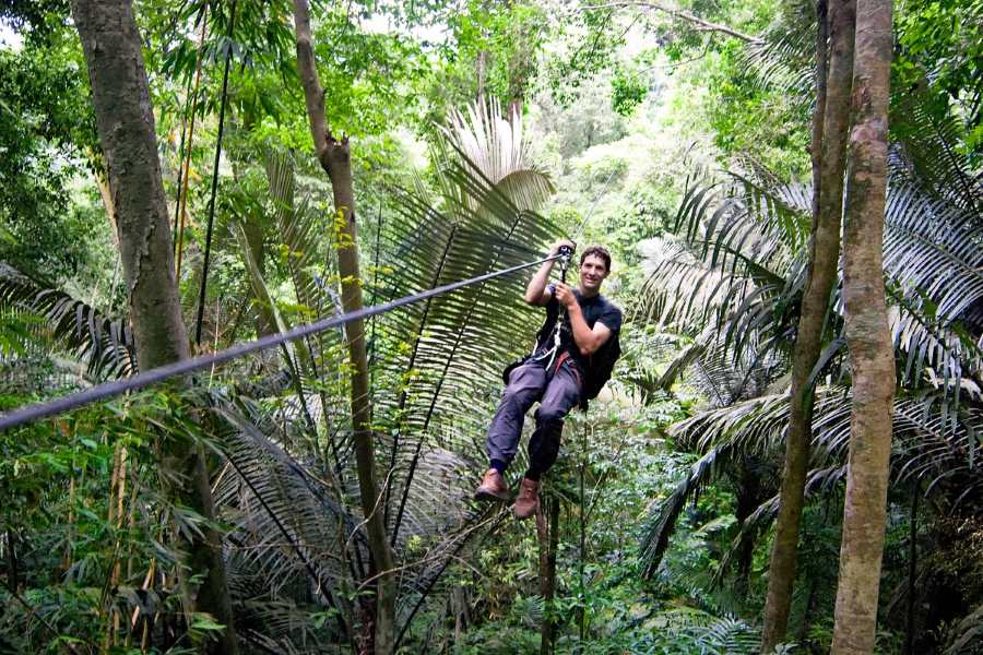 Zip through the dense forest of Bokeo Nature Reserve