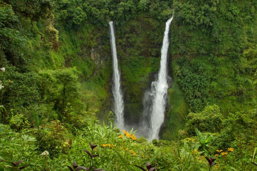 Bolaven Plateau