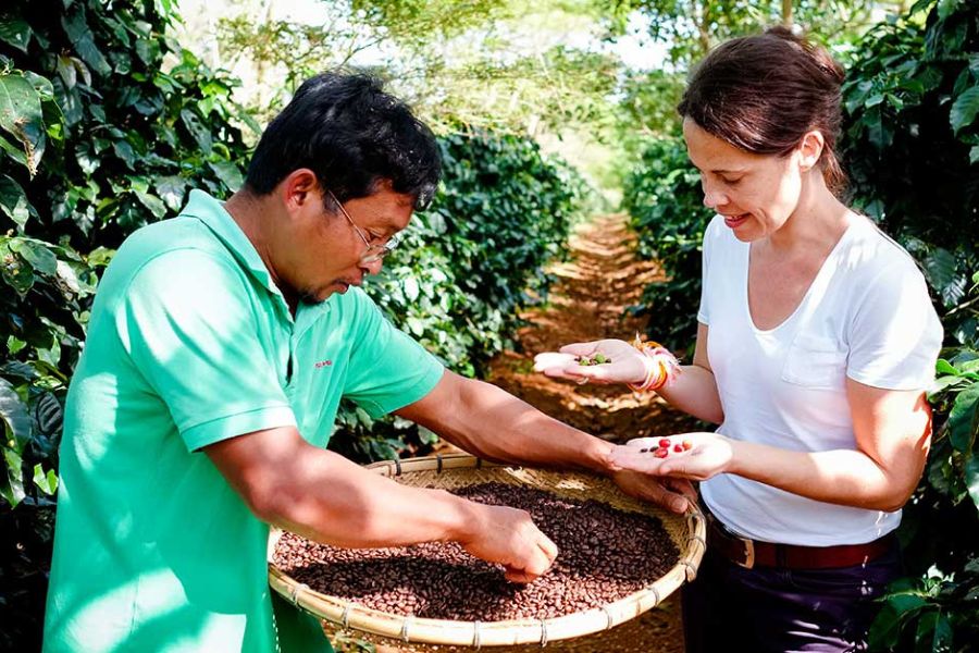 coffee in bolaven plateau