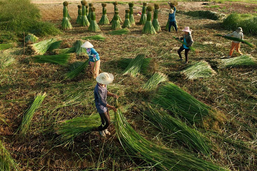 Kim Son Sedge Weaving Craft Village