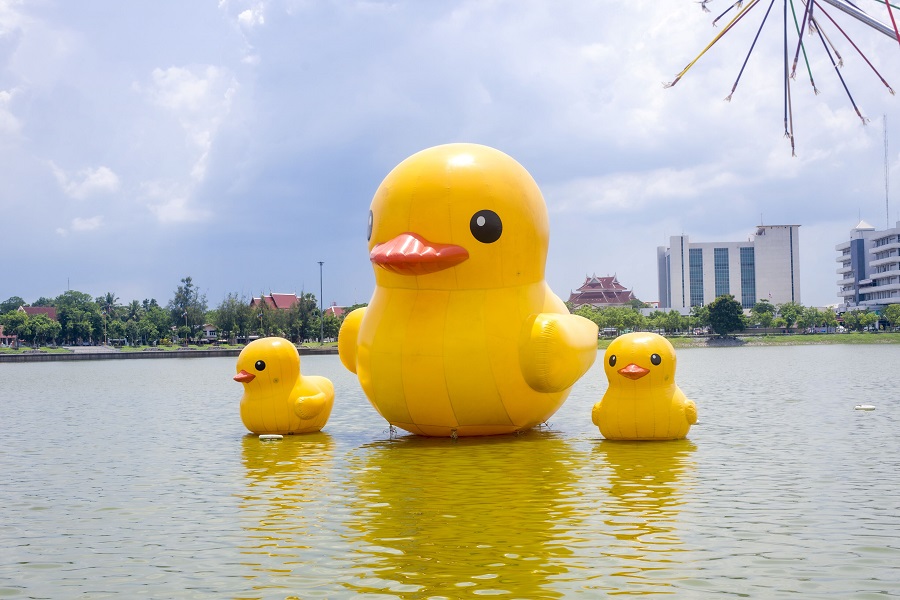 Nong Prajak Public Park in Udon Thani has giant yellow rubber ducks float on the water