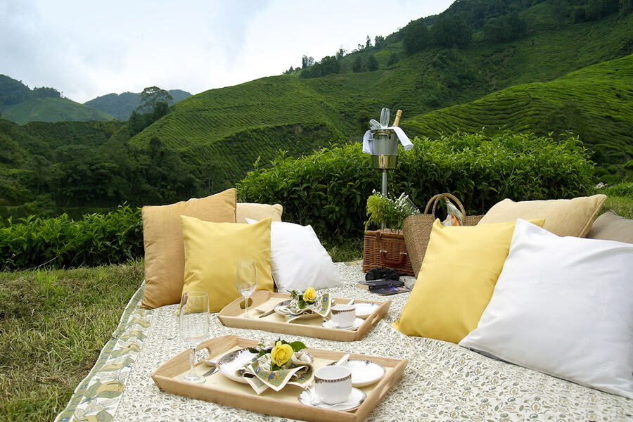 Cameron Highlands is a beautiful holiday destination and the only place where you can find tea plantations and strawberries in Malaysia - Photo: Cameron Highlands Resort