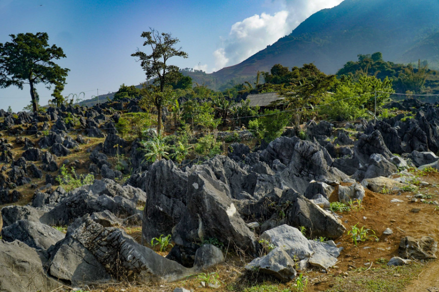 This place creates a wild and fascinating natural picture. Source: VietnamPlus