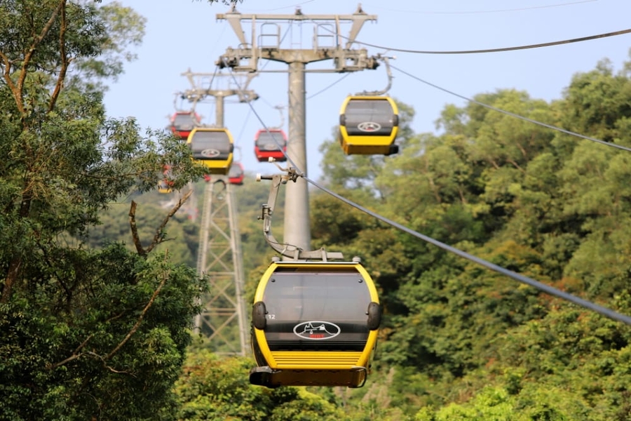 Visitors can choose to walk or take the cable car to explore the relic. Source: Xanh SM