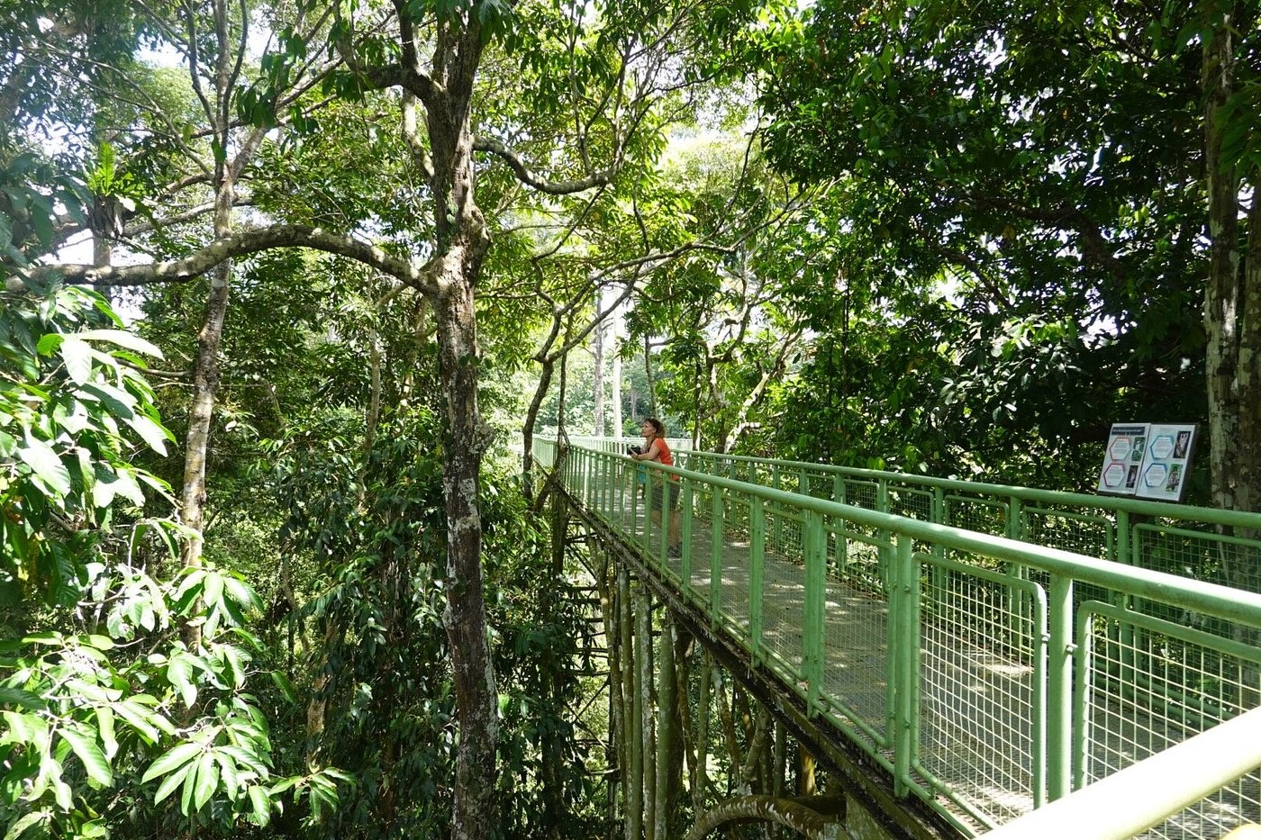 Rainforest Discovery Center