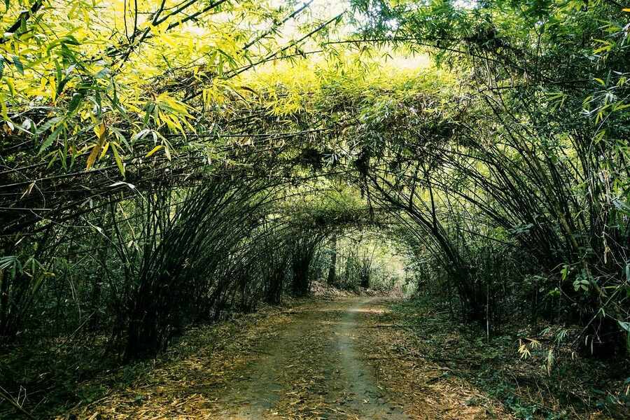 Cat Tien National Park is a true paradise for nature lovers