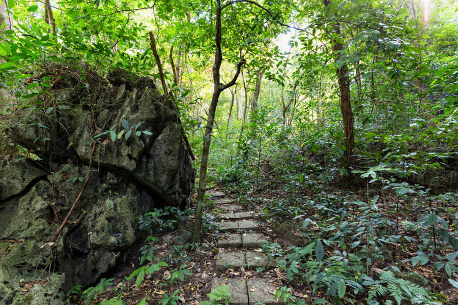 Cat Ba National Park possesses a diverse biodiversity of forest, sea, and even human archaeological sites. Photo: Sun World Cat Ba