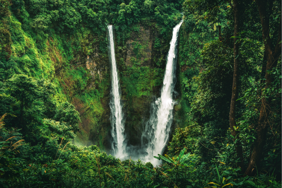 bolaven plateau in champasak