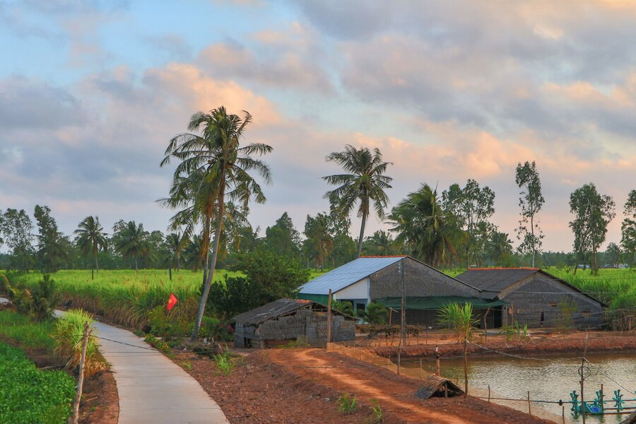 Peaceful village scene in Dung Island (Soc Trang Province). Source: Mytour.vn