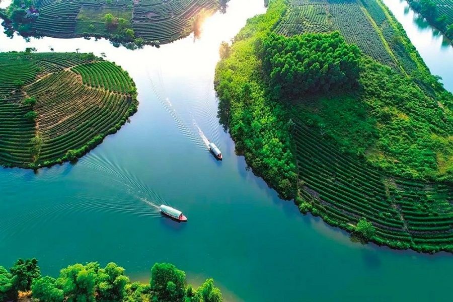 Travel between the tea oases by boat