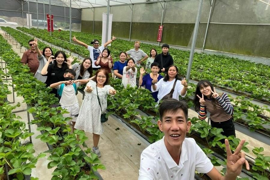 Tourists eagerly visit Ichigo Strawberry Farm