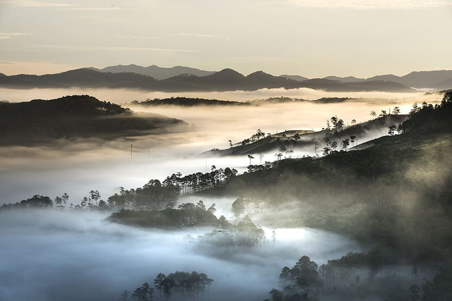 Hunting cloud in Lam Vien Plateau