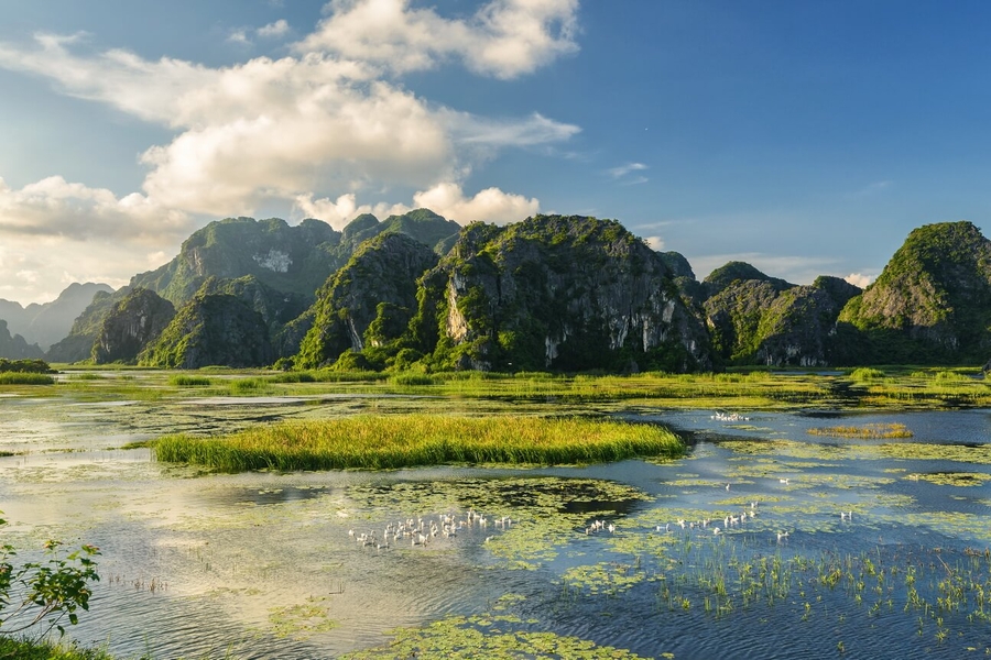 Van Long Lagoon is a large nature reserve in Ninh Binh. Source: Ninh Binh Legend Hotel 