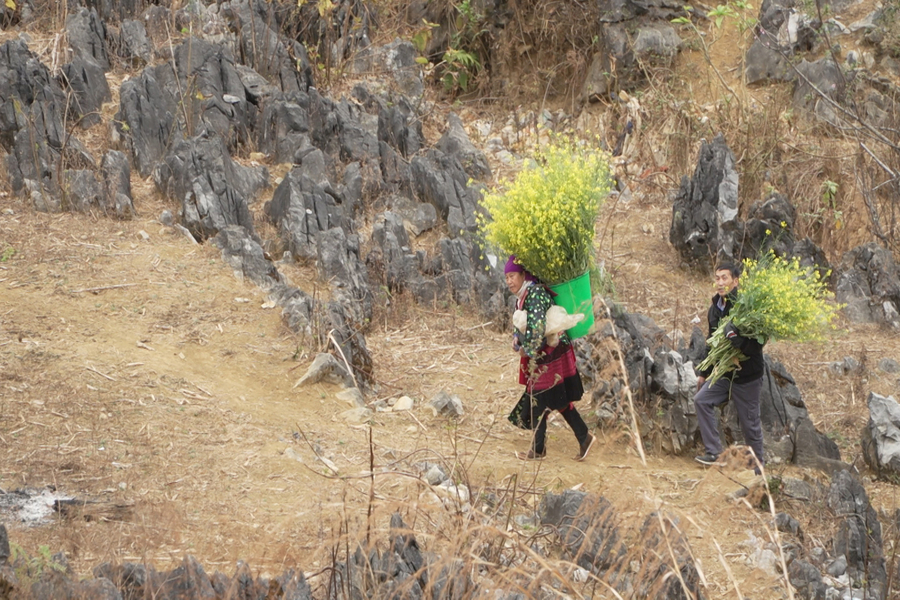You can also meet ethnic people when visiting the stone plateau. Source: Tay Bac Travel