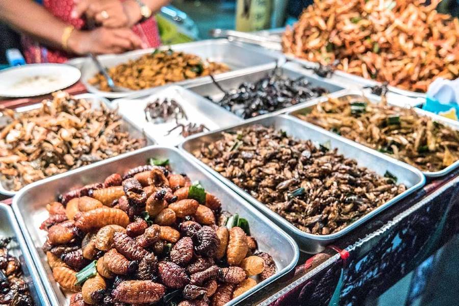 Stalls selling fried insects in Thailand always attract the curiosity of tourists 