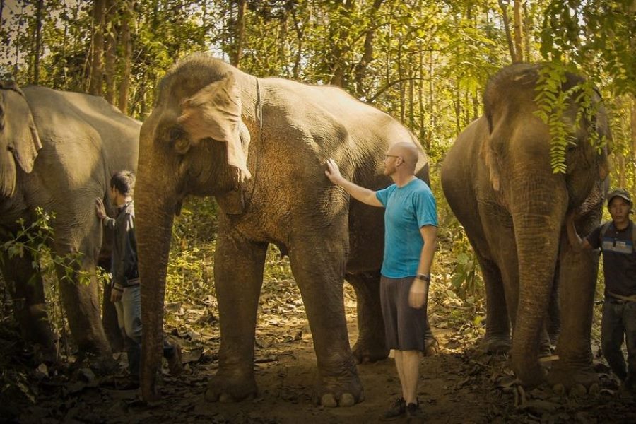 The ideal time to visit Elephant Village