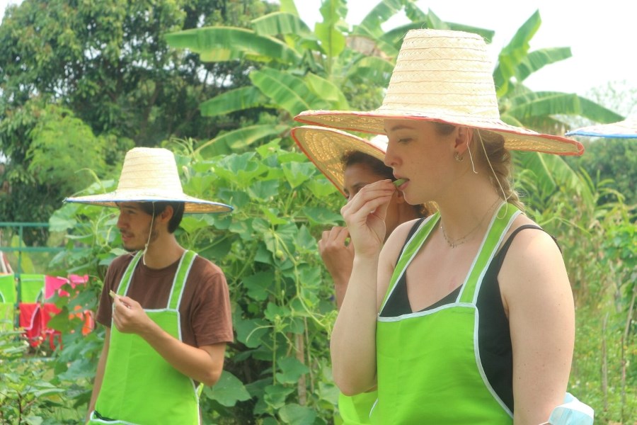 farm visit in a Chiang Mai cooking class