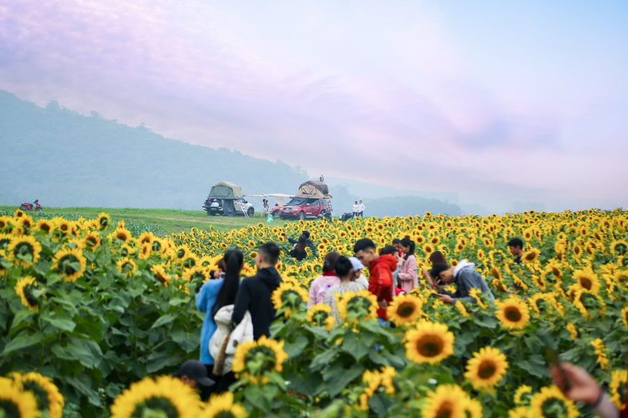 This place is not too far from the center of Vinh City. Source: Nghe An News