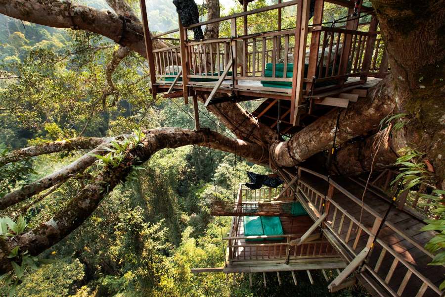 The treehouses at The Gibbon Experience are one of the most unique features