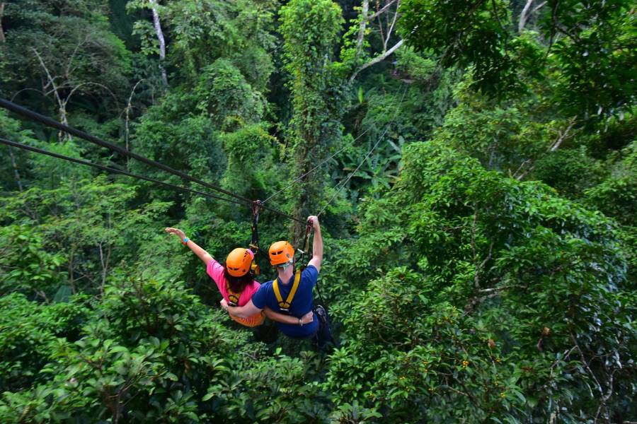 Zipline slides tens of meters high are the perfect choice for adventure-loving tourists