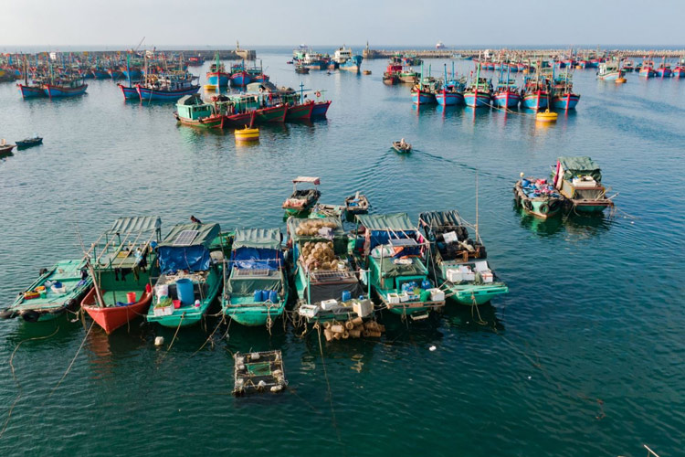 The island's residents primarily engage in fishing and seafood collection as their main livelihood