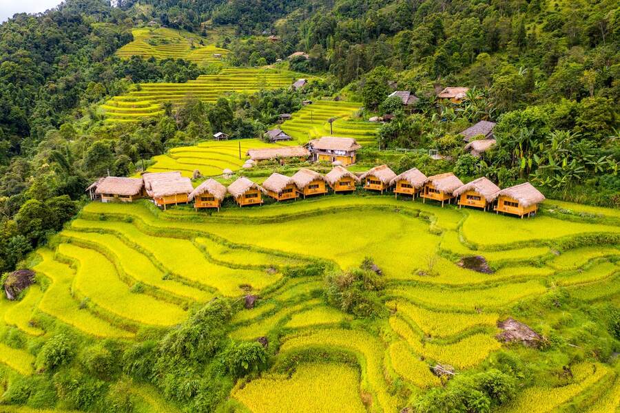 Picturesque scenery of Hoang Su Phi in the ripe rice season