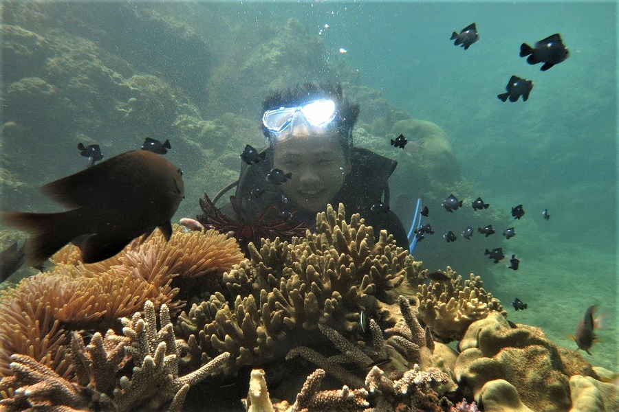 Snorkeling among the coral reefs is one of the most unforgettable experiences at Seo Island