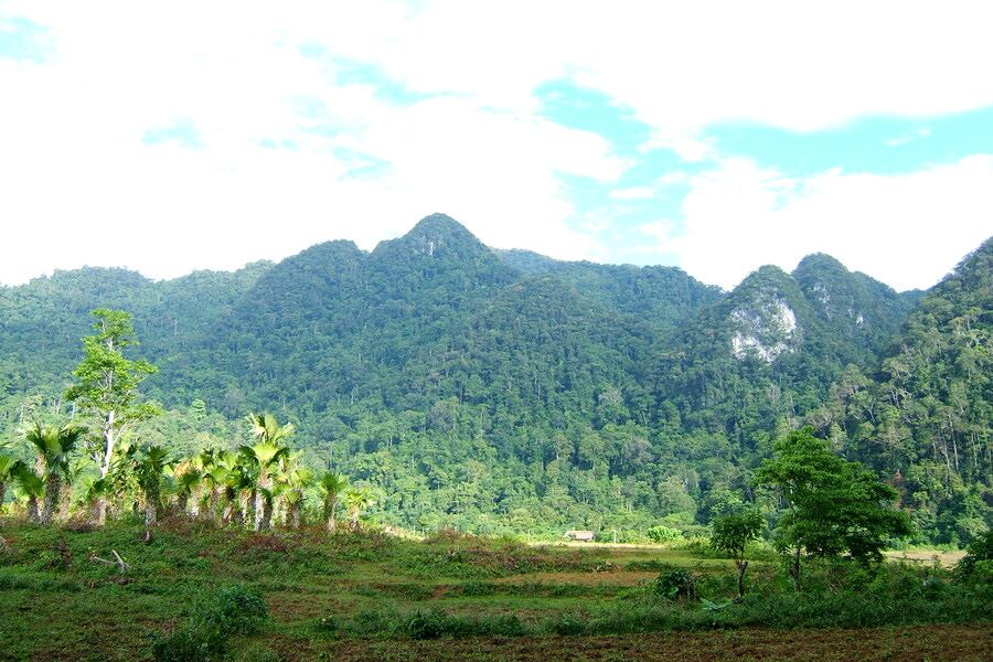 Many high mountains range in Xuan Son National Park