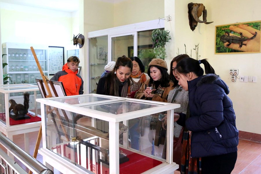 Specimens displayed in the museum