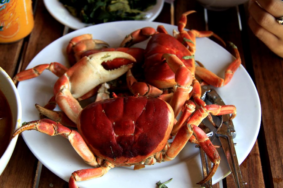 Xuan Son stone crabs