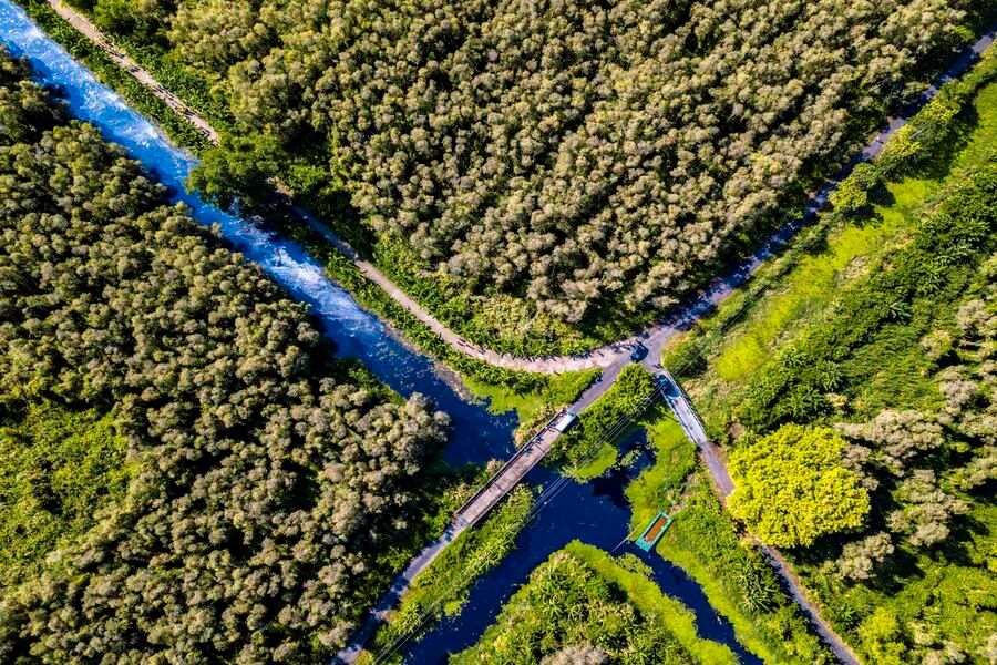 Rivers intertwine with forest in U Minh Ha National Park