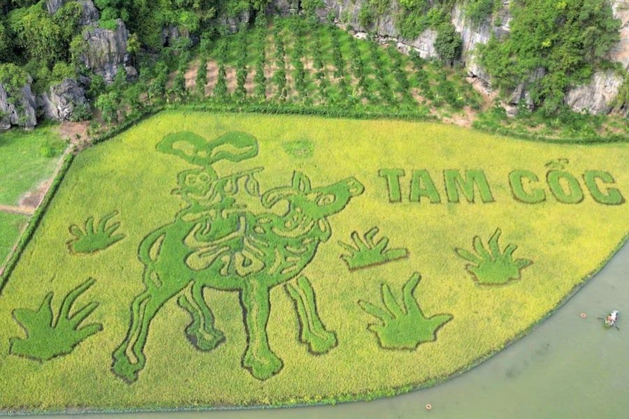 Giant folk painting artwork on the rice field