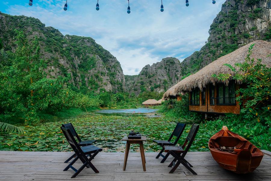 Lotus blooms everywhere in Ninh Binh