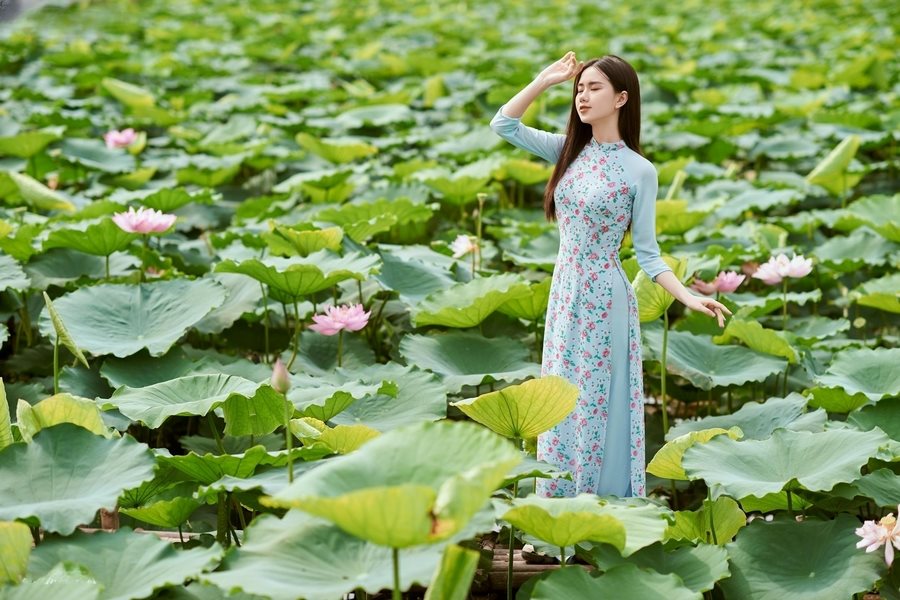 Take lotus photos wearing Ao Dai. Source: Nguyen Cong Studio