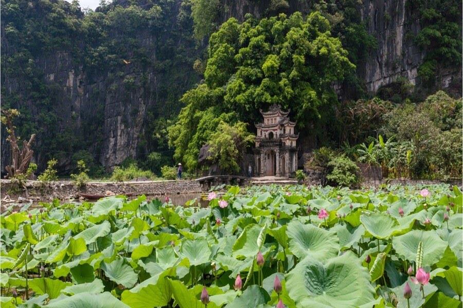 Lotus pond at Bich Dong Pagoda