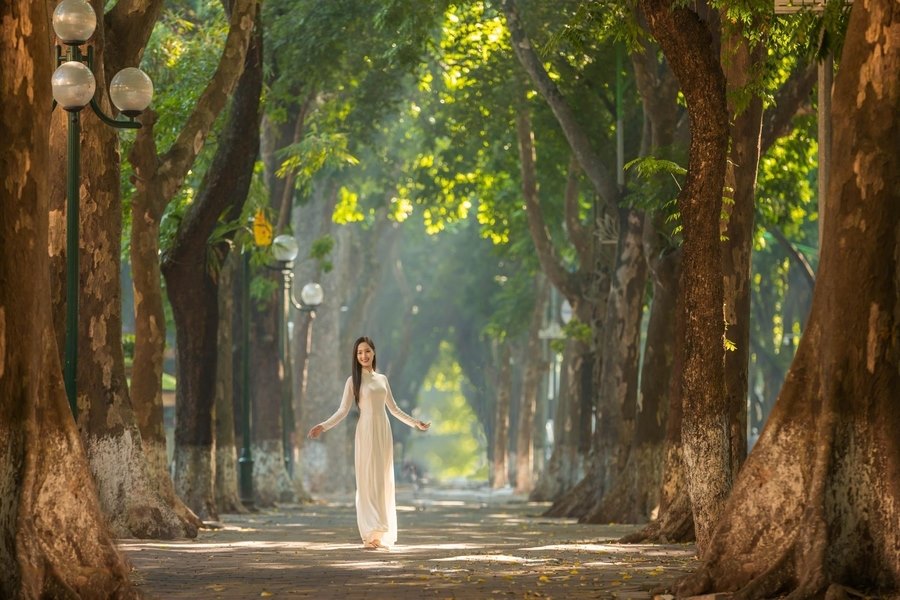 Phan Dinh Phung Street is a photography spot with romantic beauty. Source: TTStudio