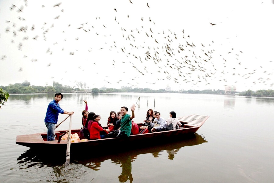 The government and local people join hands to protect Stork Island. Source: Dai Doan Ket