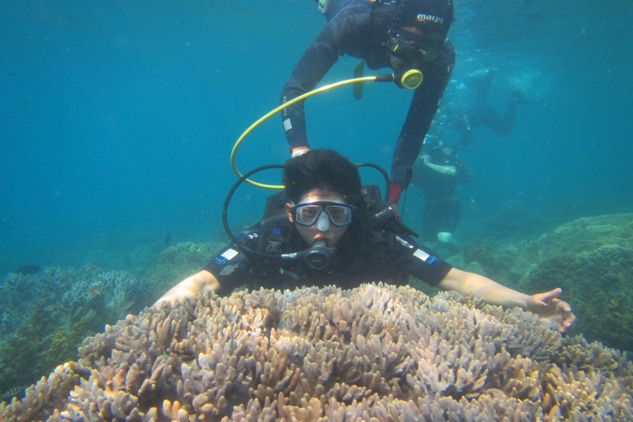 Coral reef diving in Cu Lao Cham. Source: Danatravel