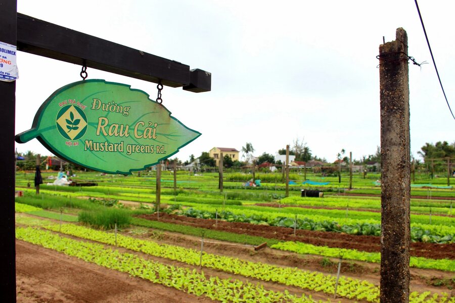 Roads in Tra Que Vegetable Village are named after the vegetables grown there