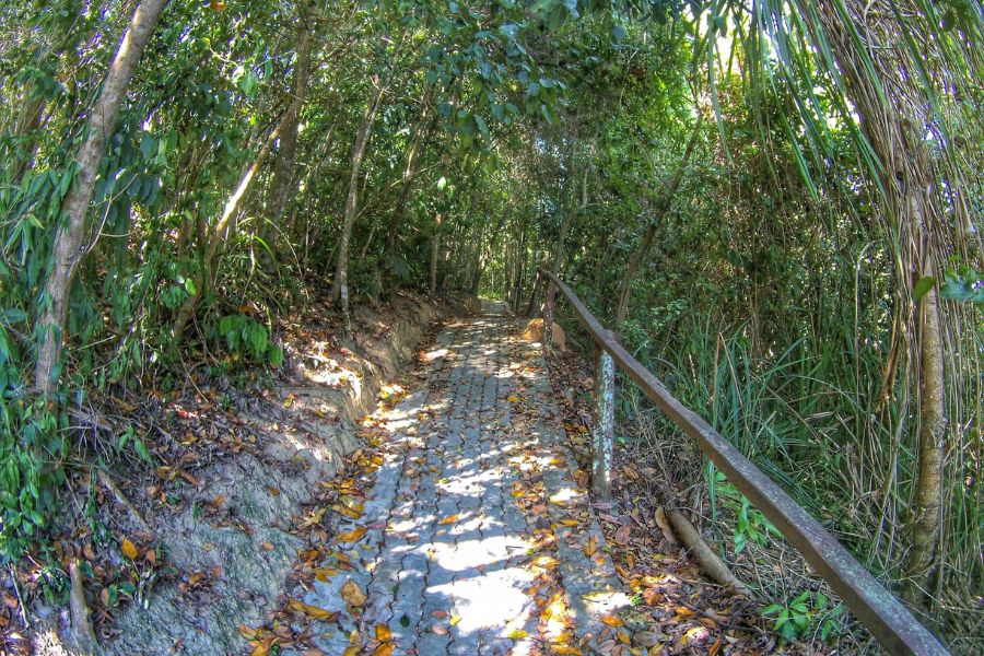 Island Trails and Nature Walks