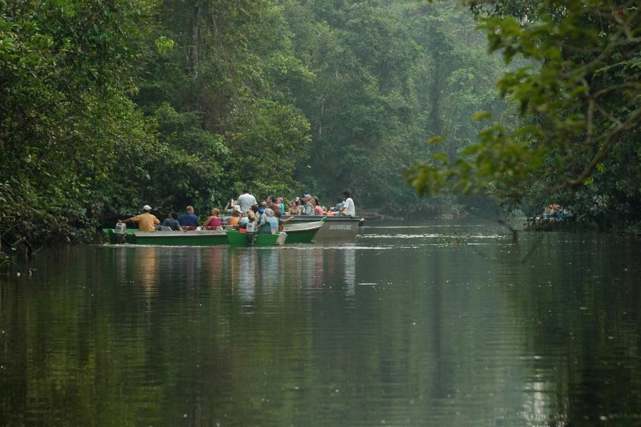 Kinabatangan River Safari