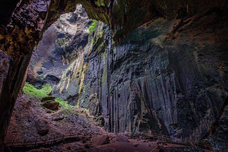 Gomantong Caves