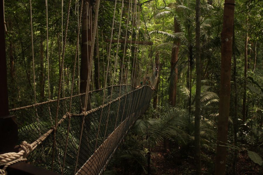 Canopy Walkway