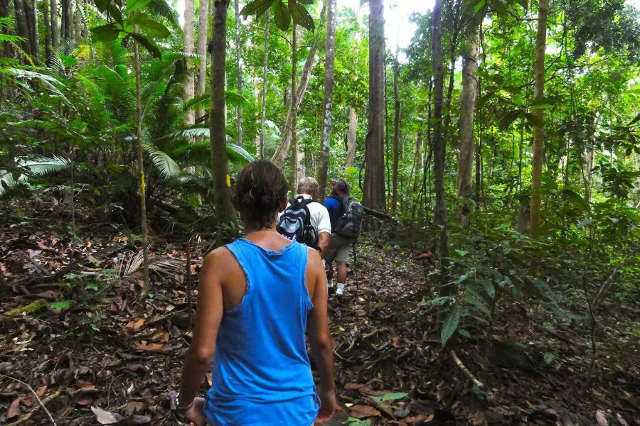 Jungle Trekking and Nature Trails 