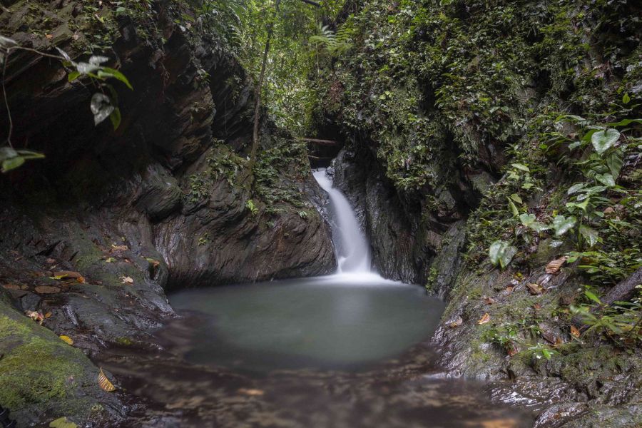 Waterfall Exploration 