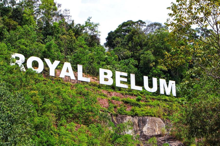 Royal Belum State Park 