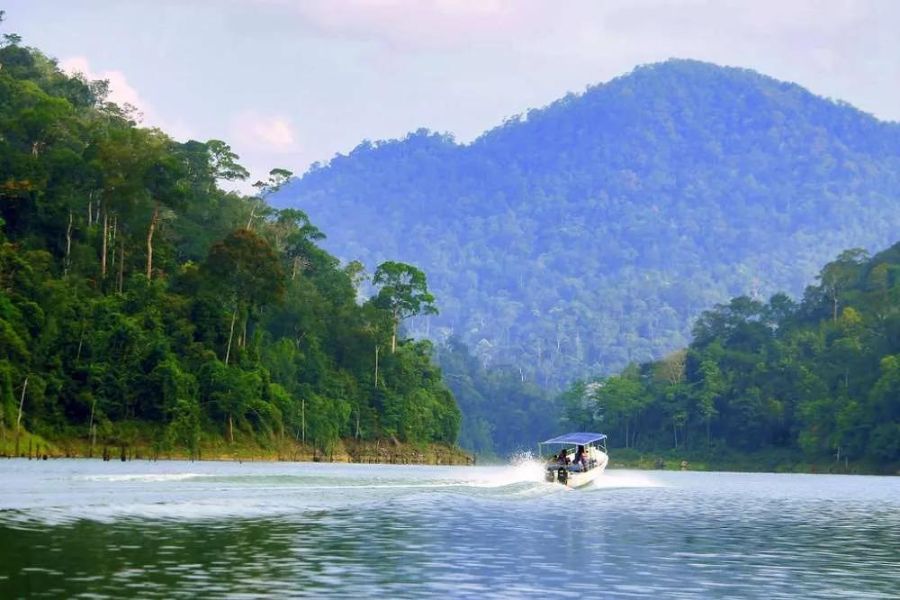 Lake Temenggor 