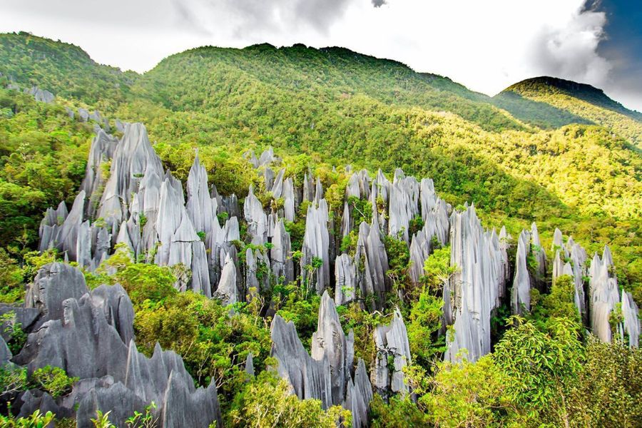 Gunung Mulu National Park