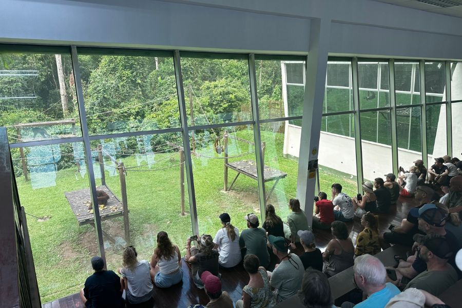 Inside of Sepilok Orangutan Rehabilitation Centre 