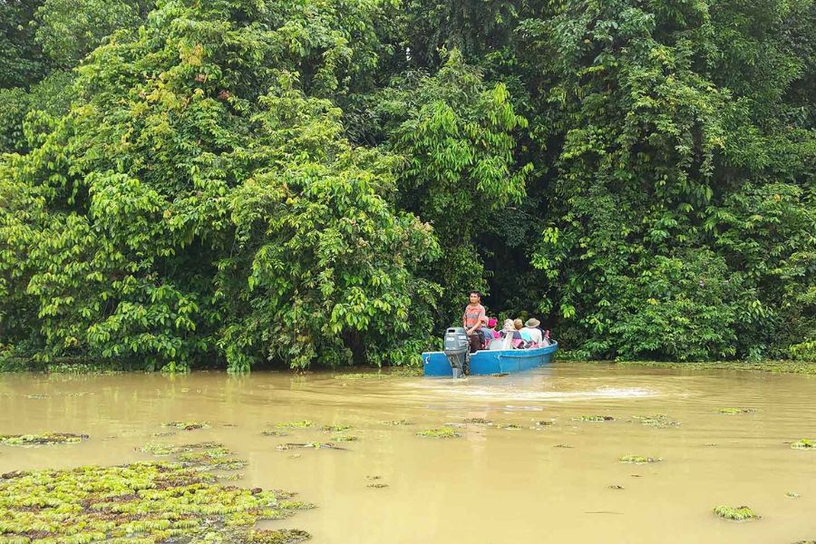  Kinabatangan River